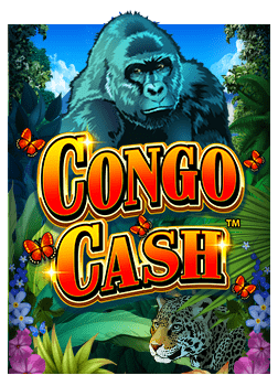 ค้นพบโลกของ joker login ผ่านการทดลองเล่น